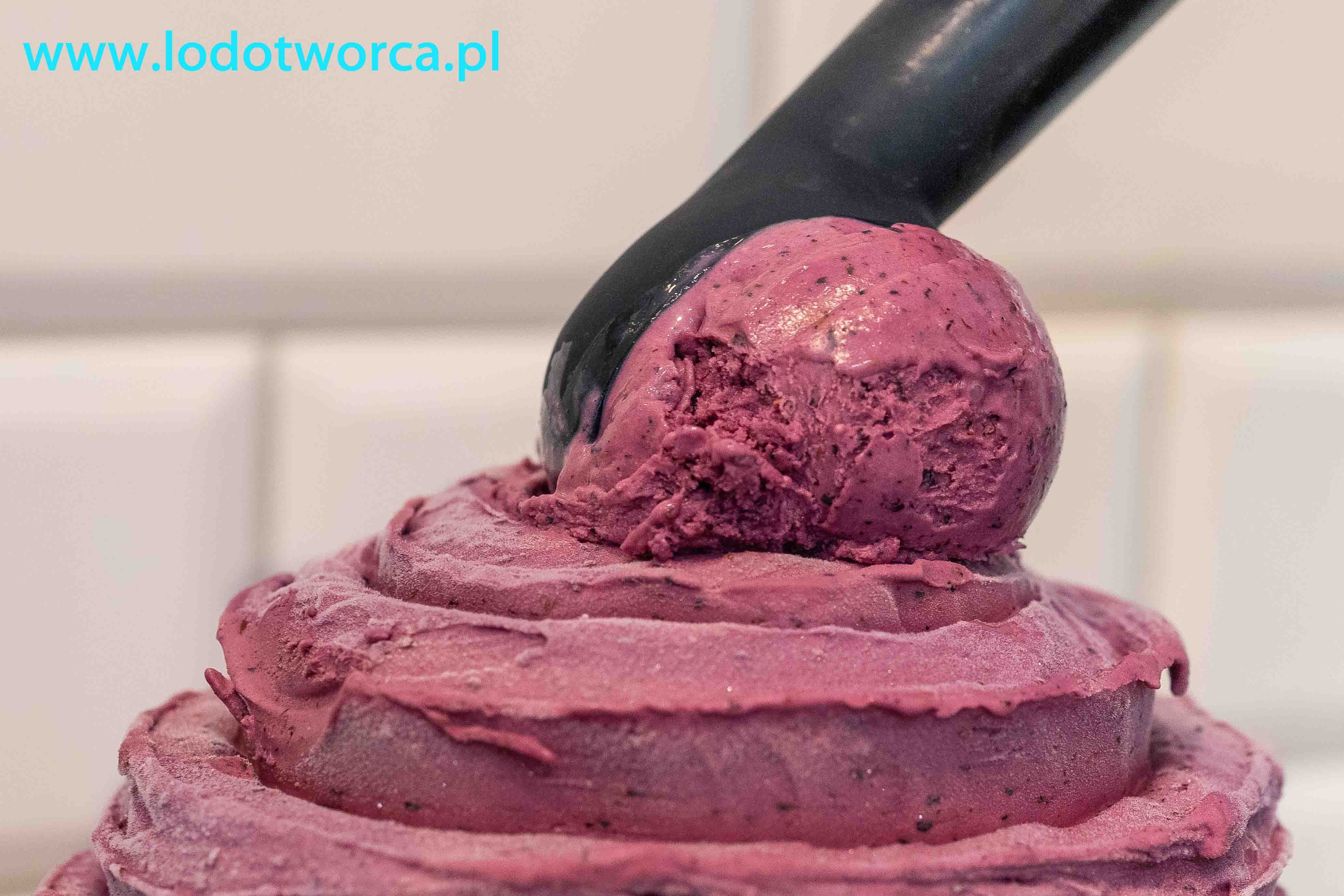Lody Rzeszów o smaku borówki lodziarnia jogurteria kawiarnia shake milkshake mrożonyjogurt lód włoski sorbet kawa cafe rurki z kremem deser lodowy bita śmietana soki frappe posypki polewy.jpg