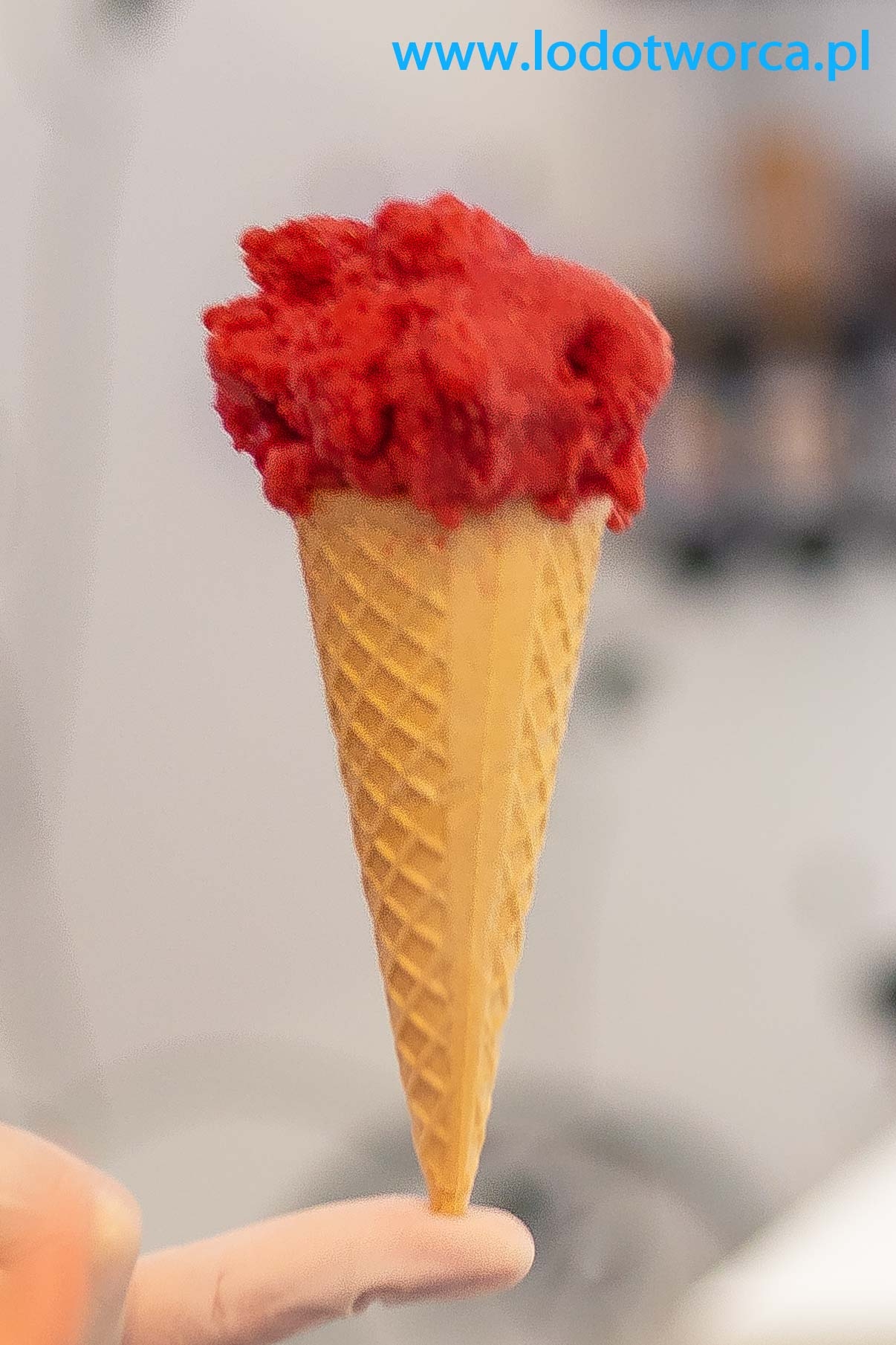 Lody Rzeszów sorbet malinowy lodziarnia jogurteria kawiarnia shake milkshake mrożonyjogurt lód włoski sorbet kawa cafe rurki z kremem deser lodowy bita śmietana soki frappe posypki polewy.jpg