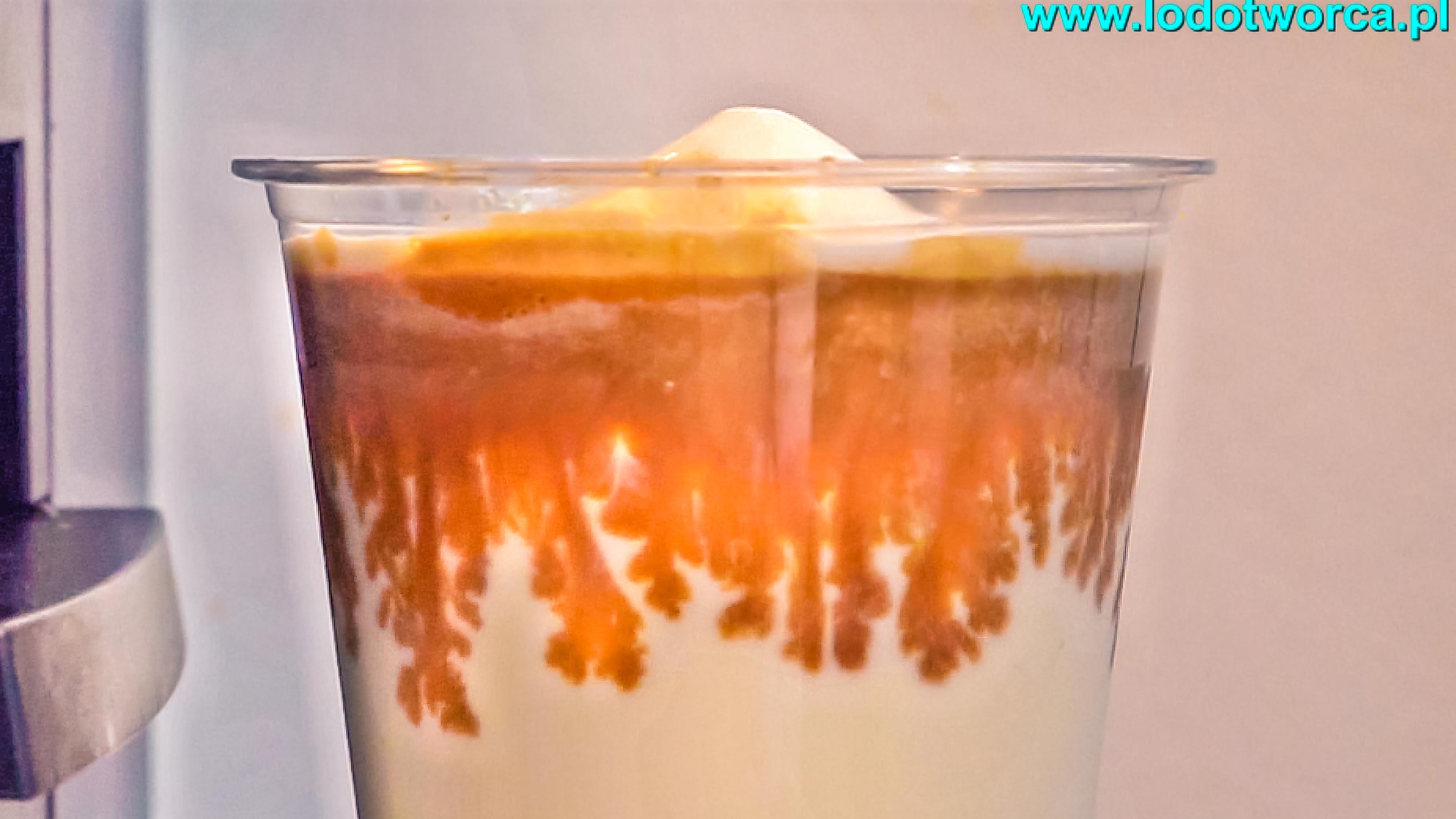 Milk shake Rzeszów kawiarnia shake milkshake mrożonyjogurt lód włoski sorbet kawa cafe rurki z kremem deser lodowy bita śmietana soki frappe posypki polewy.jpg