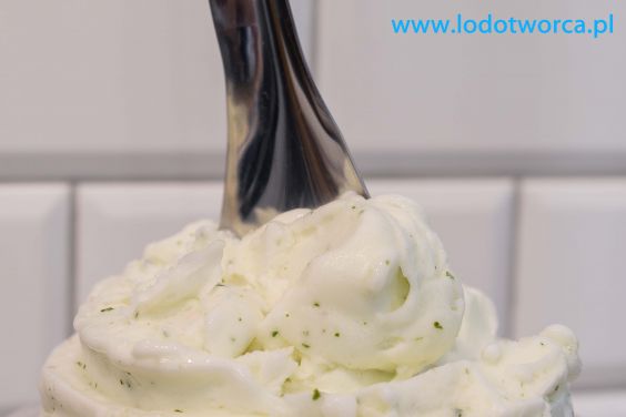 Wykwintne lody Rzeszów
