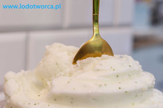 Odlotowe lody Rzeszów