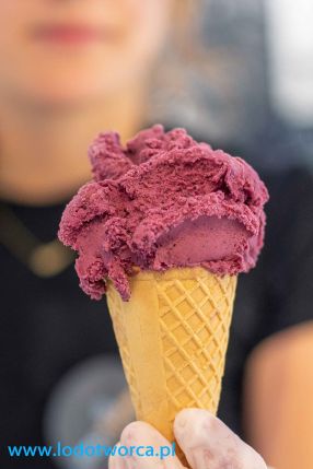 lody Rzeszów