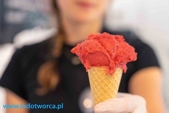 Lody Rzeszów najszlachetniejsza lodziarnia