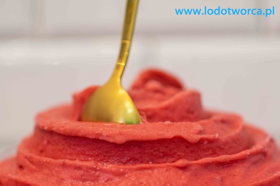 Lody Rzeszów najsolidniejsza lodziarnia