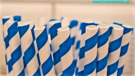 Lody Rzeszów najznakomitsza lodziarnia