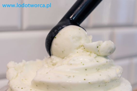 Lody Niezwykłe w lodziarni w Rzeszowie