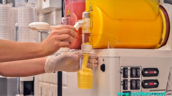 Lody Rzeszów najniezwyklejsza lodziarnia